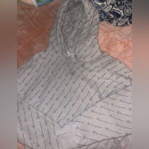 Gray Champion hoodie